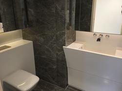 Cairnhill Nine (D9), Apartment #134727452